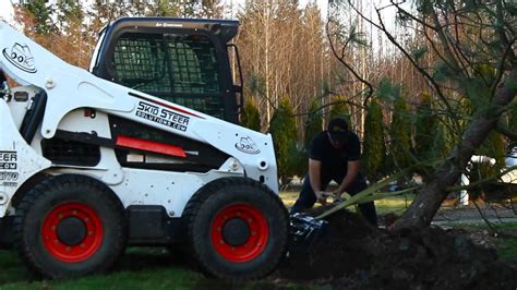 take down trees with skid steer|removing trees with skid steer.